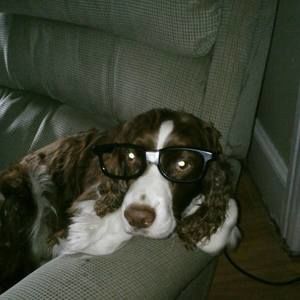 Meet your Posher, Mary